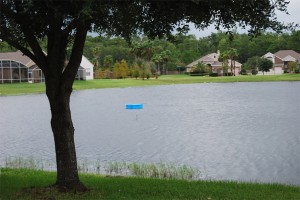A pool floating in the lake in our backyard